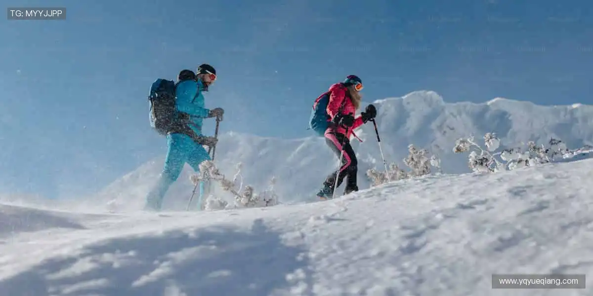 🏀全明星阵容，震撼来袭！篮球联赛官网，每一场都是视觉盛宴！🎯💥